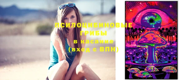 ешки Елабуга