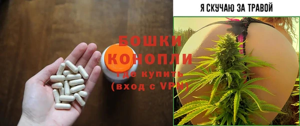 2c-b Ельня