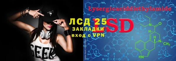 2c-b Ельня