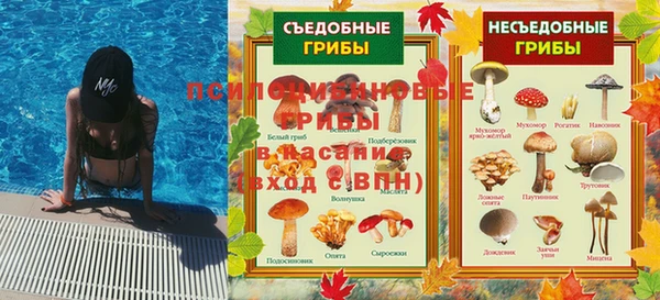 2c-b Ельня