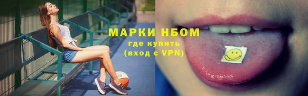 ешки Елабуга