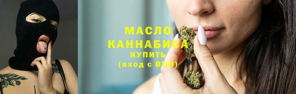 2c-b Ельня