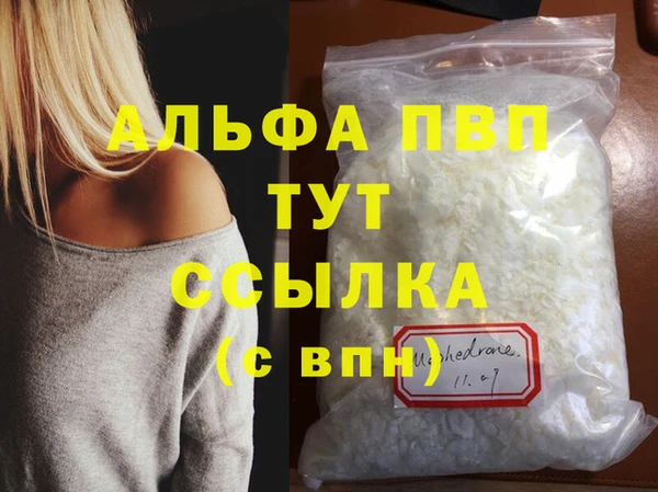 2c-b Ельня