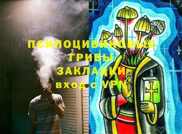 ешки Елабуга