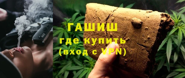 2c-b Ельня