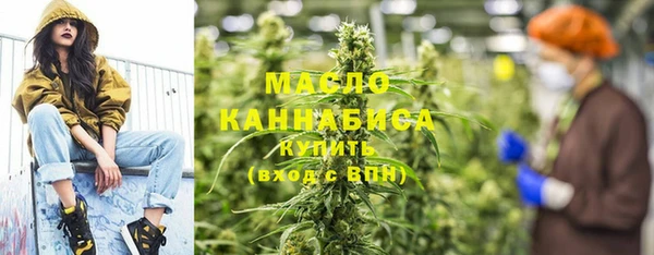 2c-b Ельня
