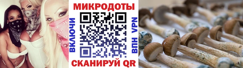 Галлюциногенные грибы Magic Shrooms  Купить  Зеленокумск 